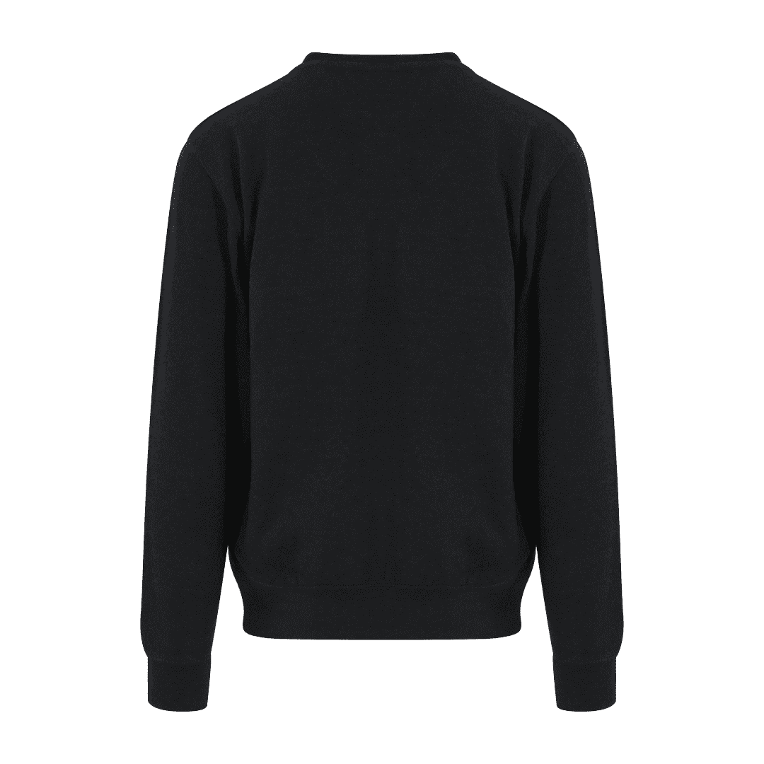 SPS - Sweatshirt (JH030)- Back