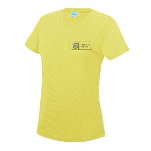 Cotton T-shirt (Ladies)