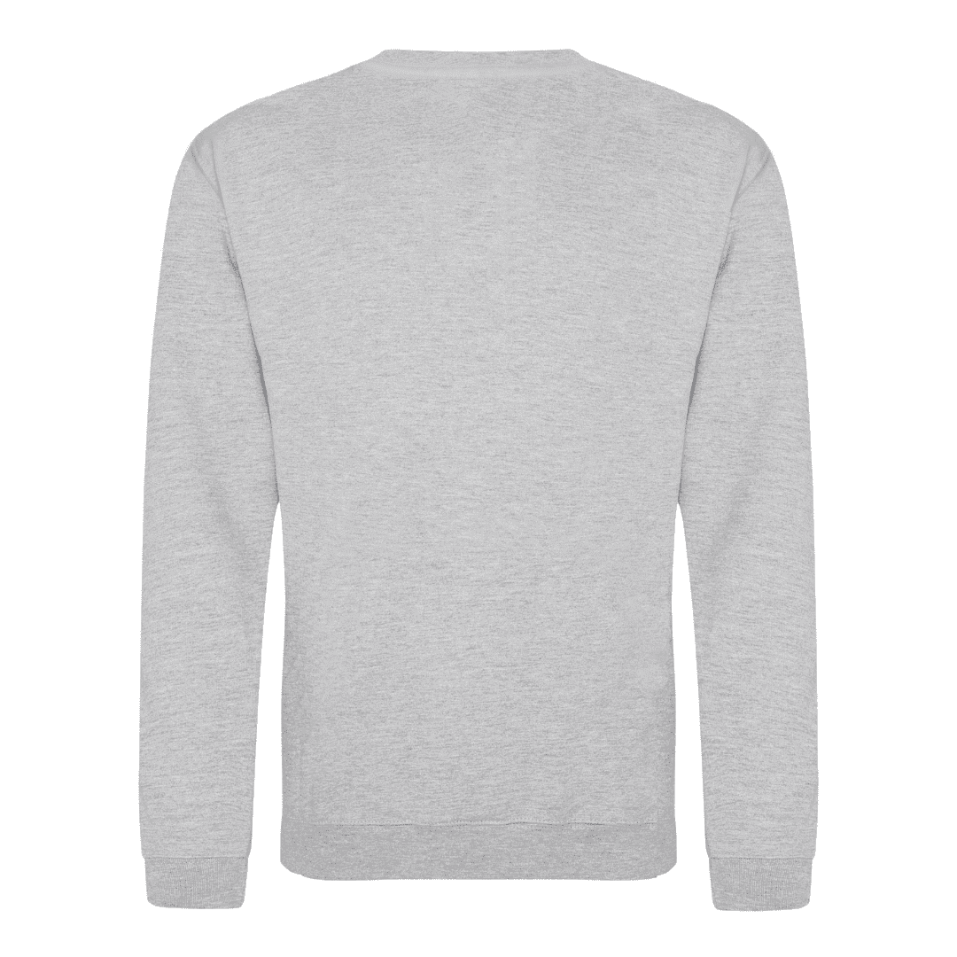 Grey Sweat Shirt Back