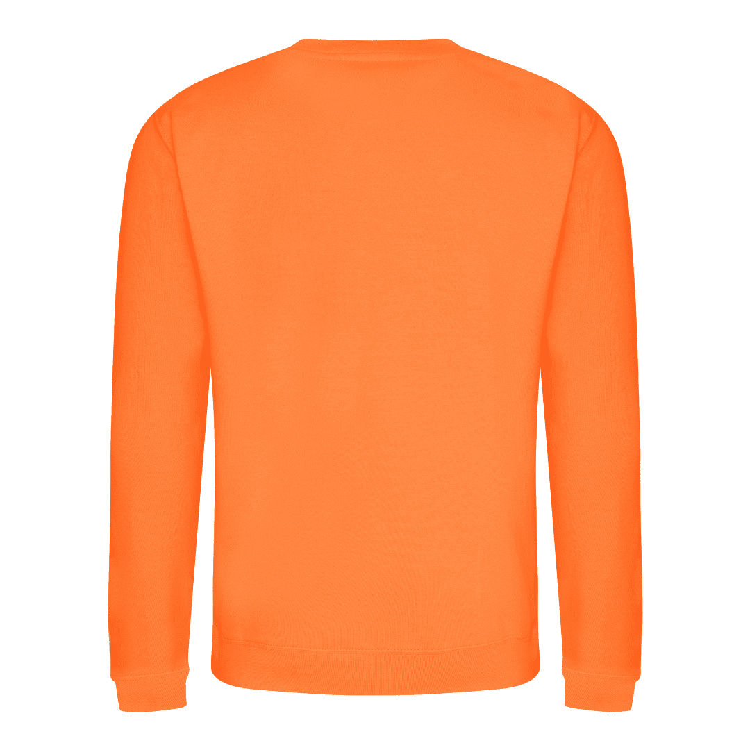 Orange Sweat Shirt Back