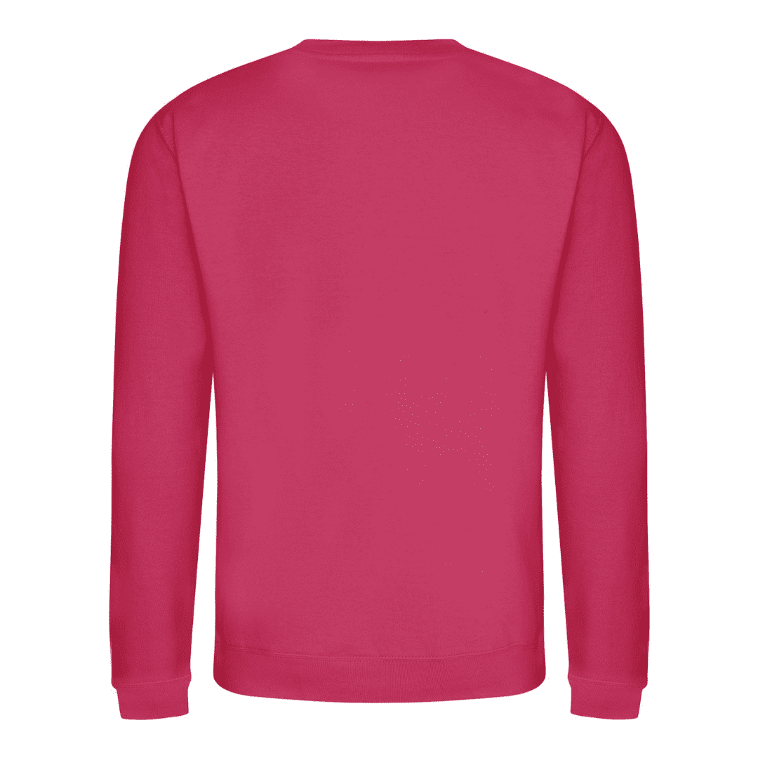 Pink Sweat Shirt Back